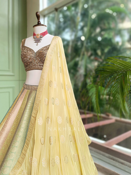 Prism Meadow Multicolor Lehenga Set