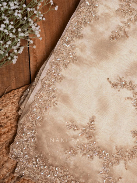 Aurora Blush Beige Tissue Organza Saree with Sequin Work