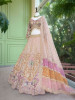 Rivara Baby Pink Lehenga Set with Heavy Zari Sequin Work
