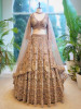 Regal Radiance Brown Embroidered Bridal Lehenga