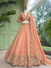 Mehrab-Noor Peach Tussar Lehenga