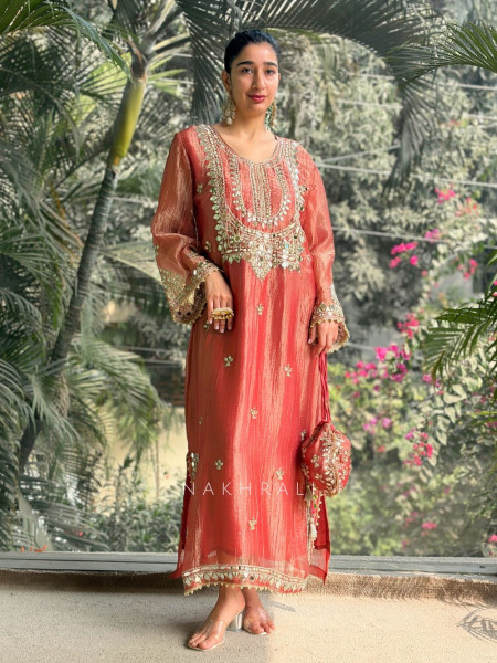 Poise Gajari Tissue Long Dress with Mirror and Zari Work