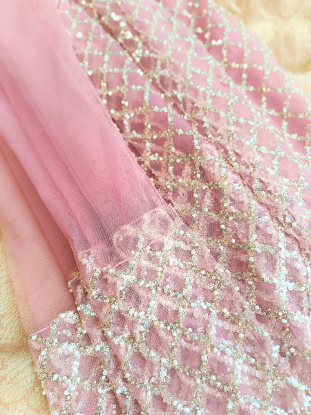 Chandani Moonlight Pink Net Saree with Running blouse