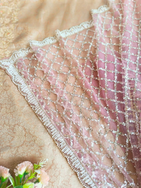 Chandani Moonlight Pink Net Saree with Running blouse