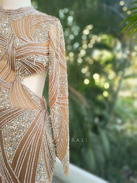 Aurora Brown Net Gown with Heavy Embroidery Work