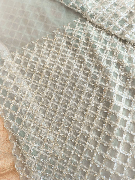 Chandani Moonlight Cream Net Saree with Running blouse