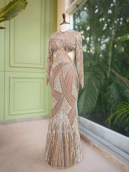 Aurora Brown Net Gown with Heavy Embroidery Work
