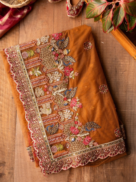 Rangmahal Rustic Orange Net Saree with Embroidered Blouse
