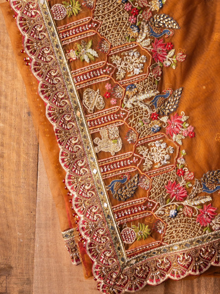 Rangmahal Rustic Orange Net Saree with Embroidered Blouse