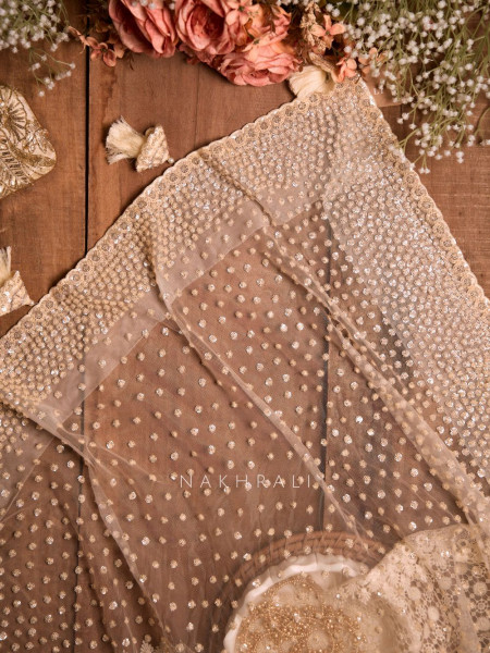 Chandelier Cream Net Saree with Sequin and Cut Dana Blouse