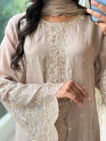 Afsaneh Pink Organza Blend Palazzo Suit Set