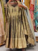 Ishira Green Banarasi Weave Anarkali