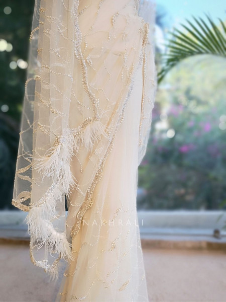 Lumina White Net Saree with Cut Dana & Bead Work