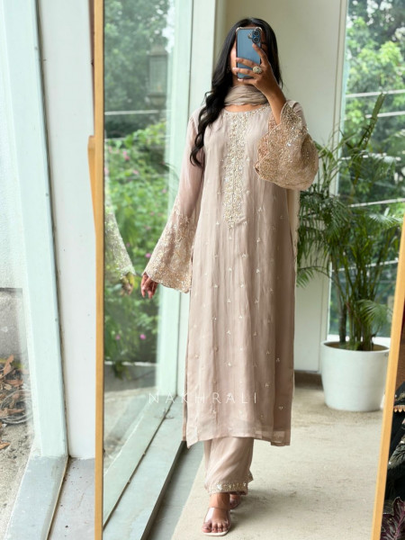 Afsaneh Pink Organza Blend Palazzo Suit Set