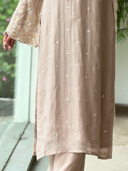 Afsaneh Pink Organza Blend Palazzo Suit Set