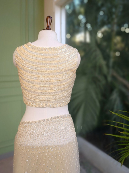 Chandelier Cream Net Saree with Sequin and Cut Dana Blouse