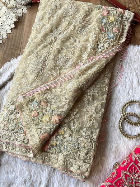 Mrinmayi Beige French Net Saree With Pearl Cutdana & Pastel Resham Work