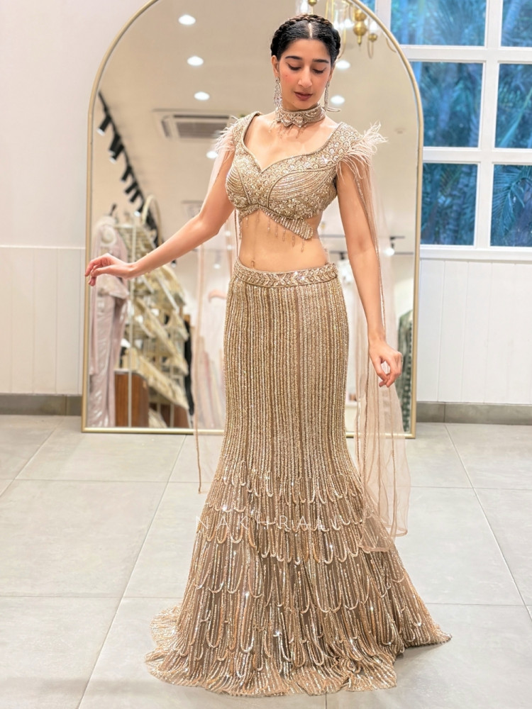 Image of Solenne Chikoo Soft Net Indo-Western Fishcut Lehenga Set