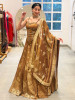 Surmayi Brown Tissue Silk Indo-Western Lehenga