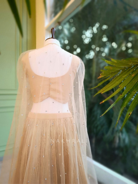 Ziana Champagne Indo-Western Lehenga Set with Sequin & Cut Dana Work