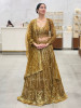 Regalia Bronze Embroidered Lehenga