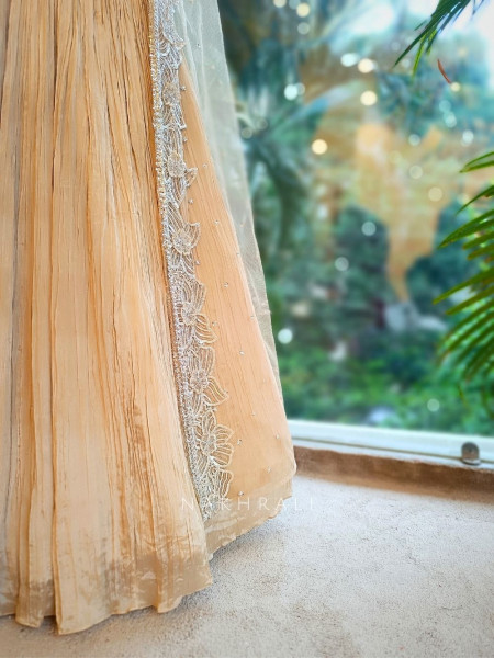 Ziana Champagne Indo-Western Lehenga Set with Sequin & Cut Dana Work