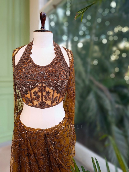 Amber Gleam Net Drape Saree with Sequin and Cut Dana Work