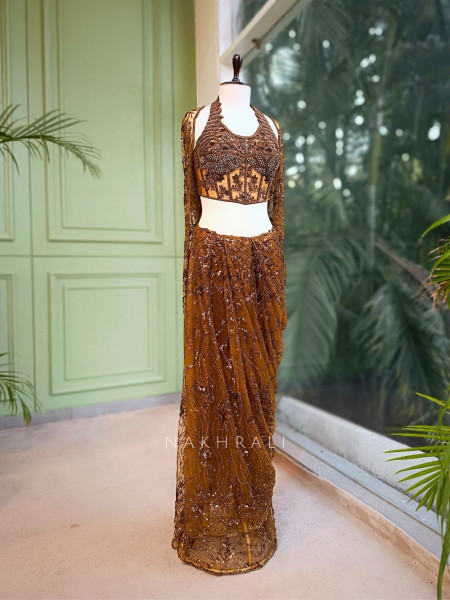 Amber Gleam Net Drape Saree with Sequin and Cut Dana Work