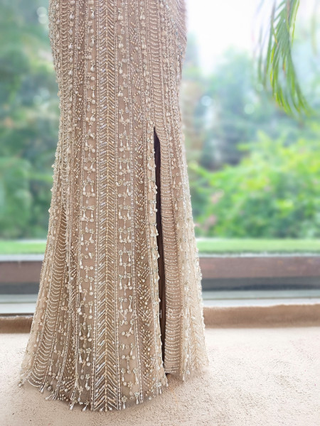 Lumessa Cream Soft Net – Indo-Western Gown