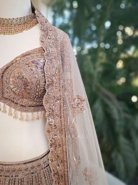 Evara Brown Zardozi Lehenga Set with Embroidered Dupatta