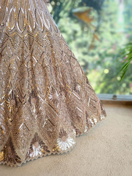 Evara Brown Zardozi Lehenga Set with Embroidered Dupatta