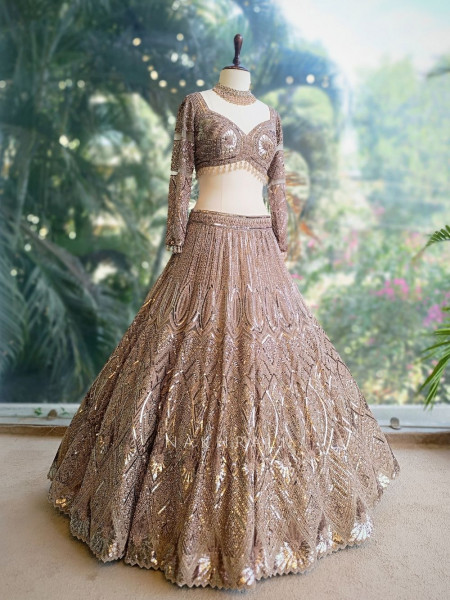 Evara Brown Zardozi Lehenga Set with Embroidered Dupatta