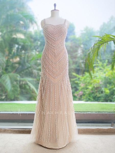 Ethereal Cascade Beige  Soft Net Indo-Western Gown