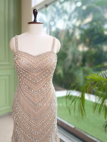 Ethereal Cascade Beige  Soft Net Indo-Western Gown
