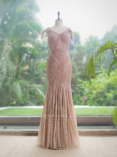 Desert Mirage Beige  Soft Net Indo-Western Gown