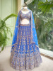 Starry Blue Lehenga with Mirror, Sequin and Cutdana Work