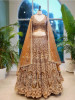 Eternal Shine Brown Zari &amp; Sequin Lehenga