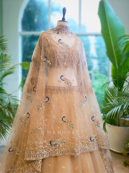 Hazel Grace Brown Net Lehenga with Embroidery & Zari Work