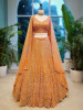 Citrine Shine Embroidered Lehenga