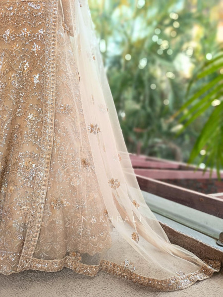 Swarnima Beige Net Lehenga with Detailed Sequin Work