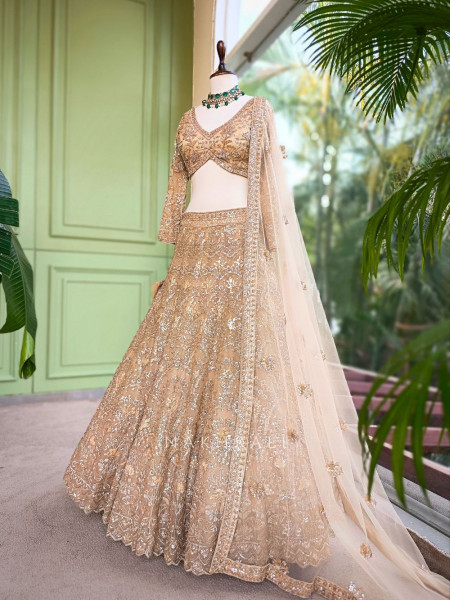 Swarnima Beige Net Lehenga with Detailed Sequin Work