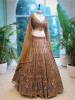 Regalia Bronze Embroidered Lehenga
