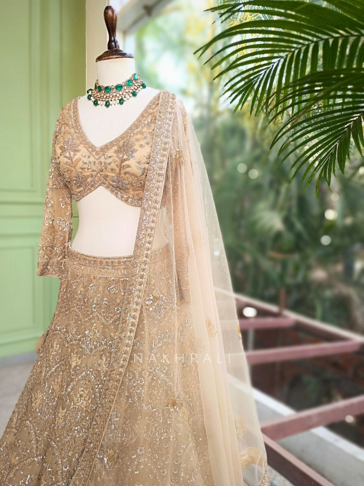 Image of Swarnima Beige Net Lehenga with Detailed Sequin Work