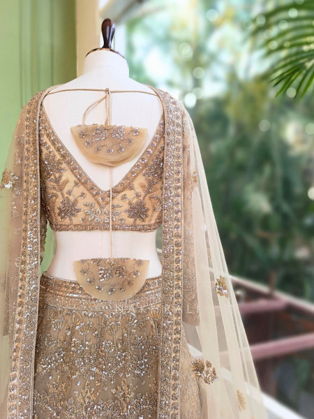 Swarnima Beige Net Lehenga with Detailed Sequin Work