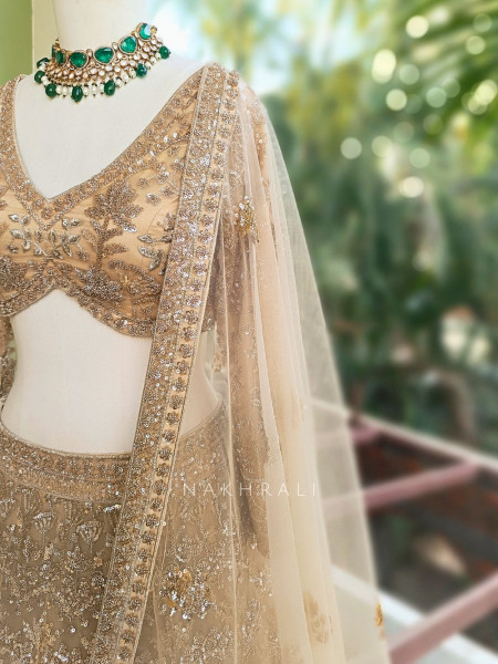 Swarnima Beige Net Lehenga with Detailed Sequin Work