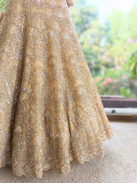 Swarnima Beige Net Lehenga with Detailed Sequin Work