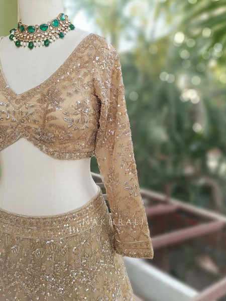 Swarnima Beige Net Lehenga with Detailed Sequin Work