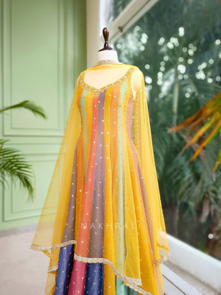 Rangreza Multicolor Anarkali with Sequin Detailing