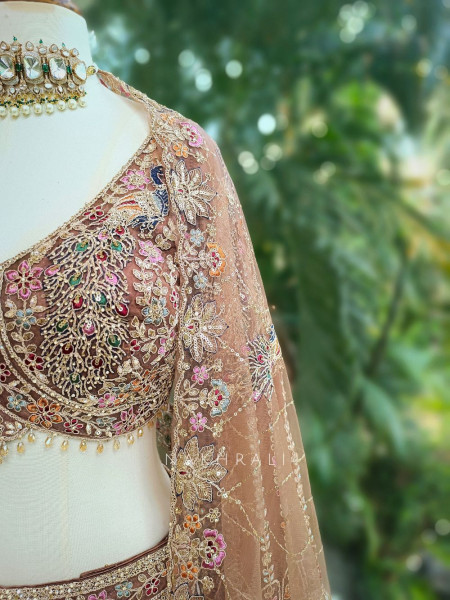 Anvika Brown Embroidered Lehenga with Zari & Zardozi