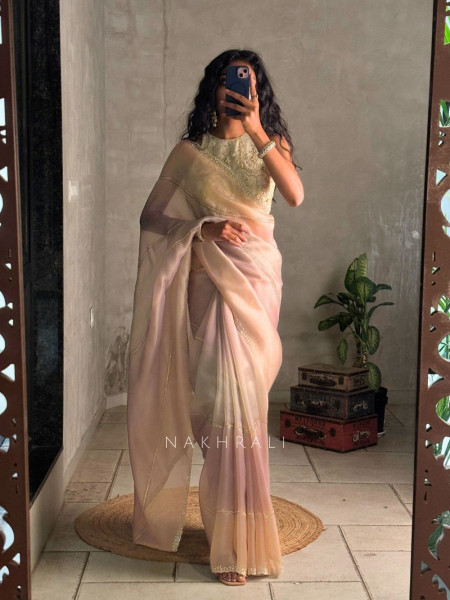 Celestine Multicolor Organza Saree with Stone Embellished Border